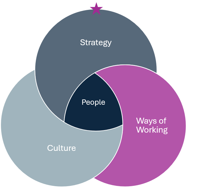 Venn diagram showing overlap of Strategy, Culture, and Ways of Working around People.